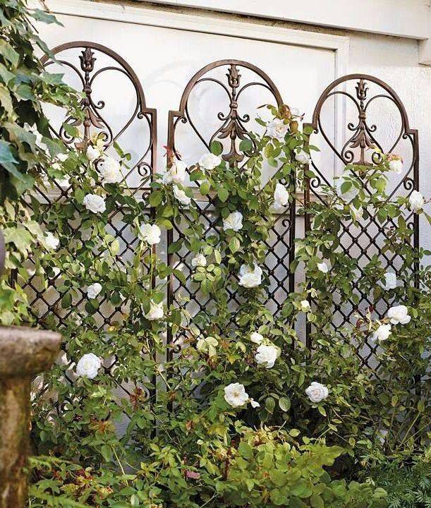 Homemade Modern Metal Trellis Ideas Outdoor Decorations