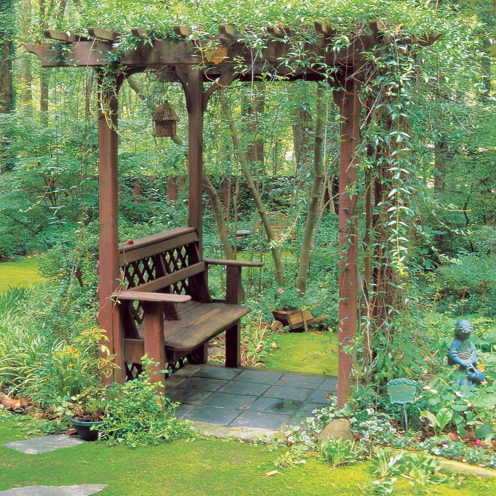 Garden Trellis