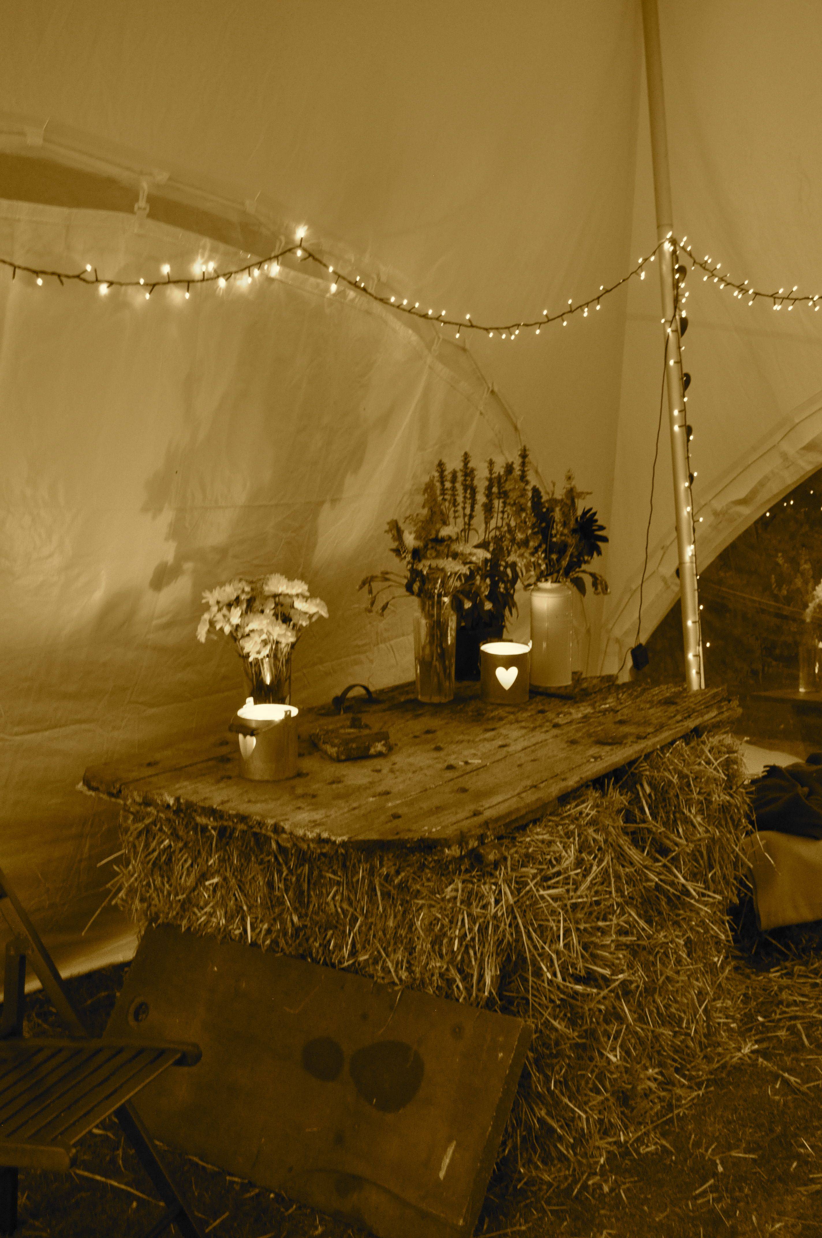 Table Decoration Ideas