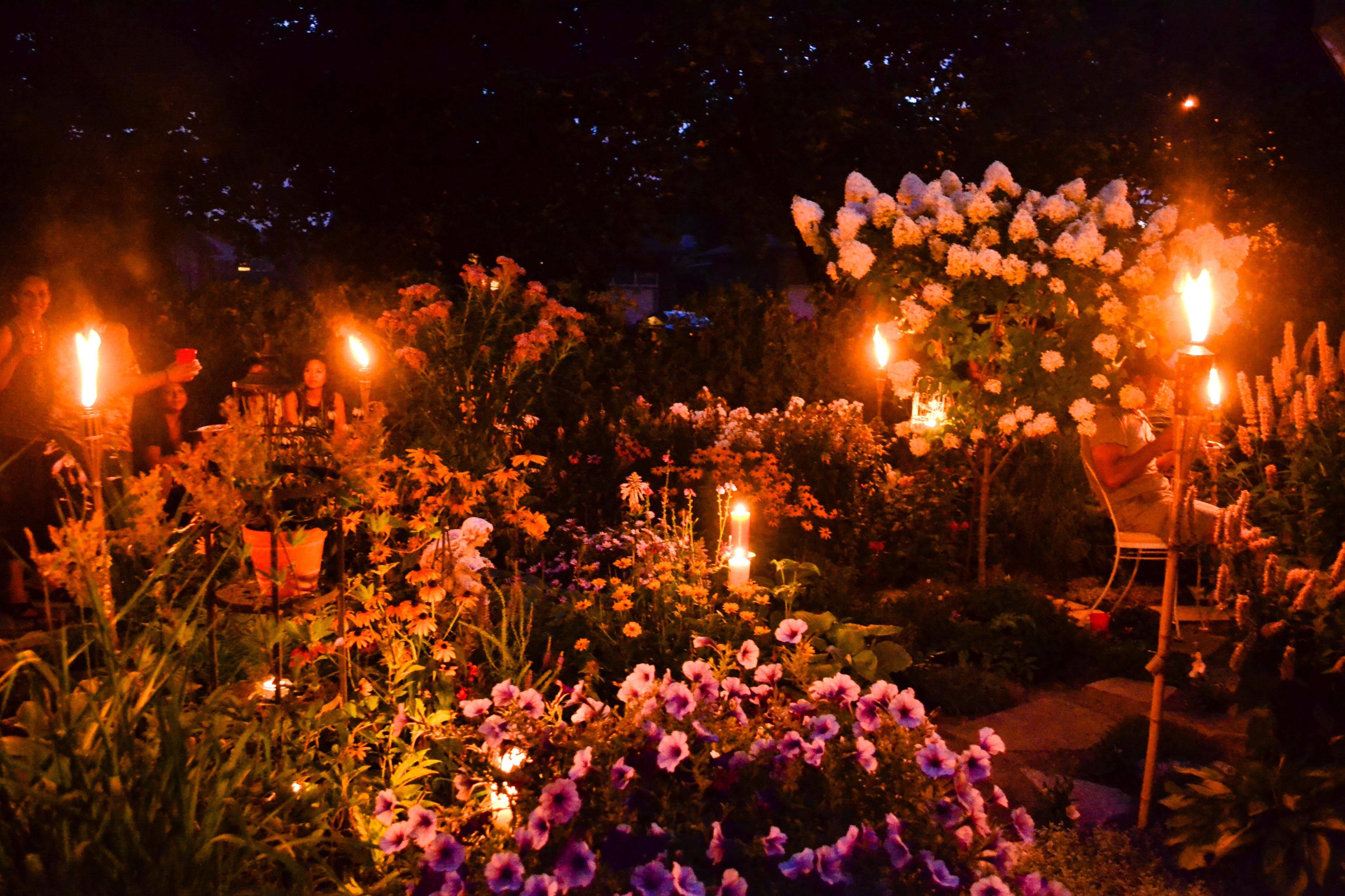 A Garden
