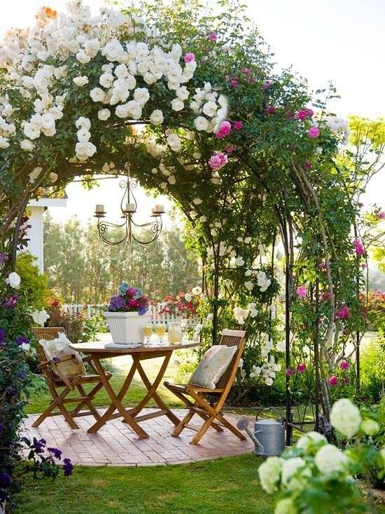 Rose Garden Design Tips Hgtv