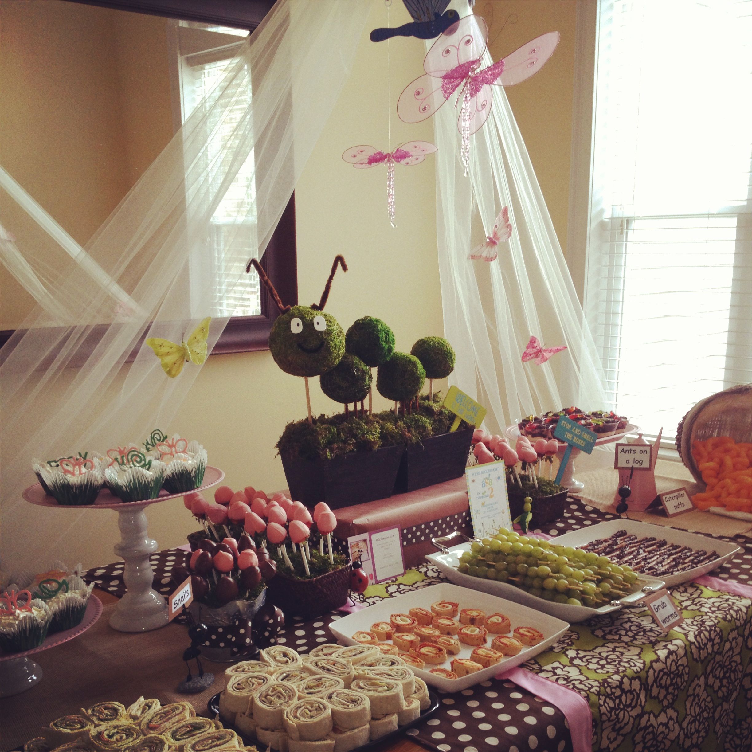 Vivians Garden St Birthday Party