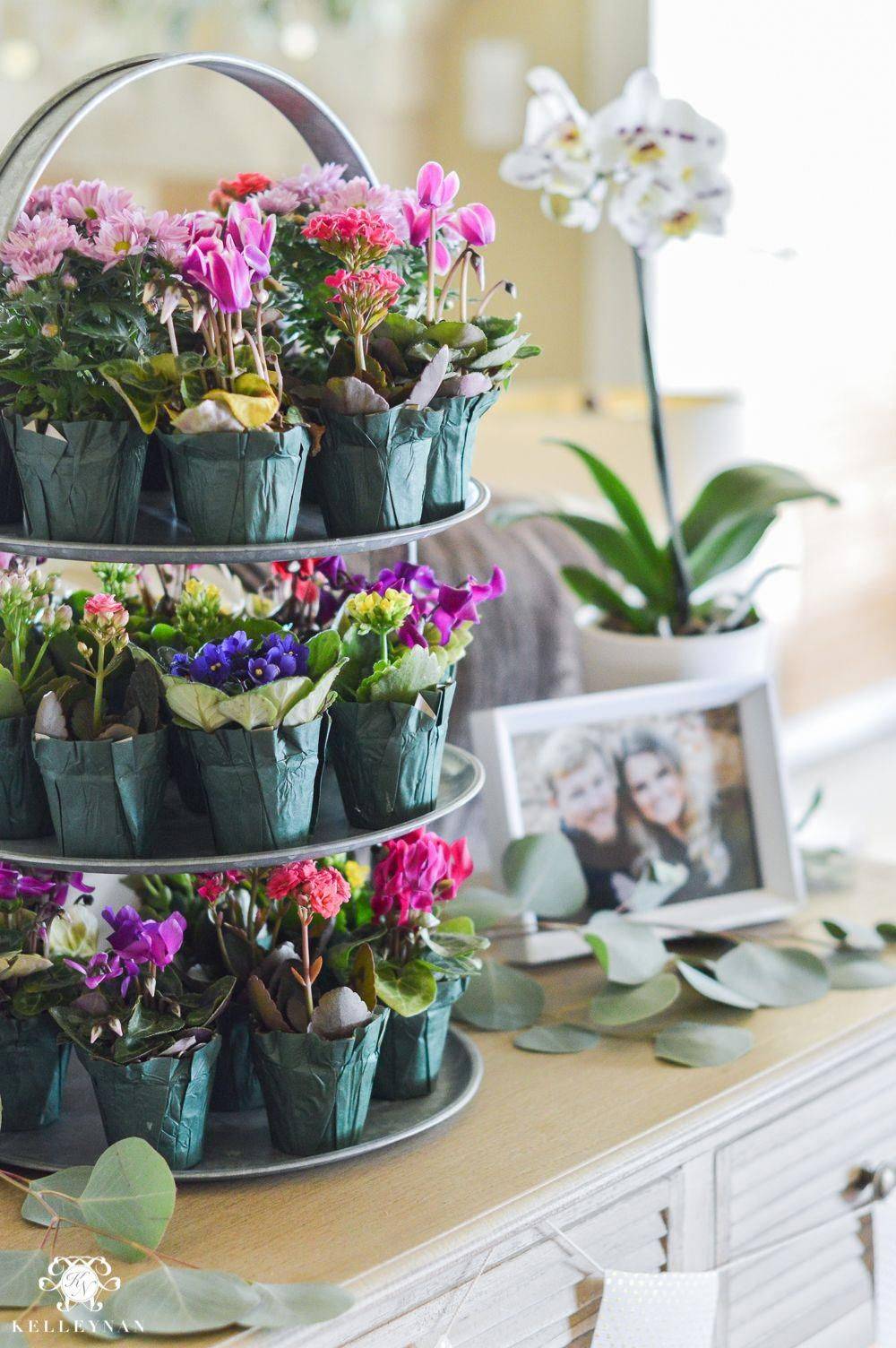 An Indoor Garden Party Bridal Shower