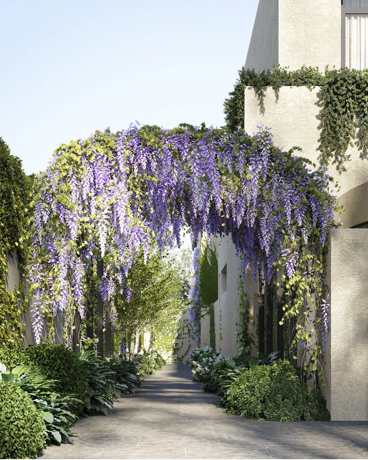 Top Wisteria Arbor