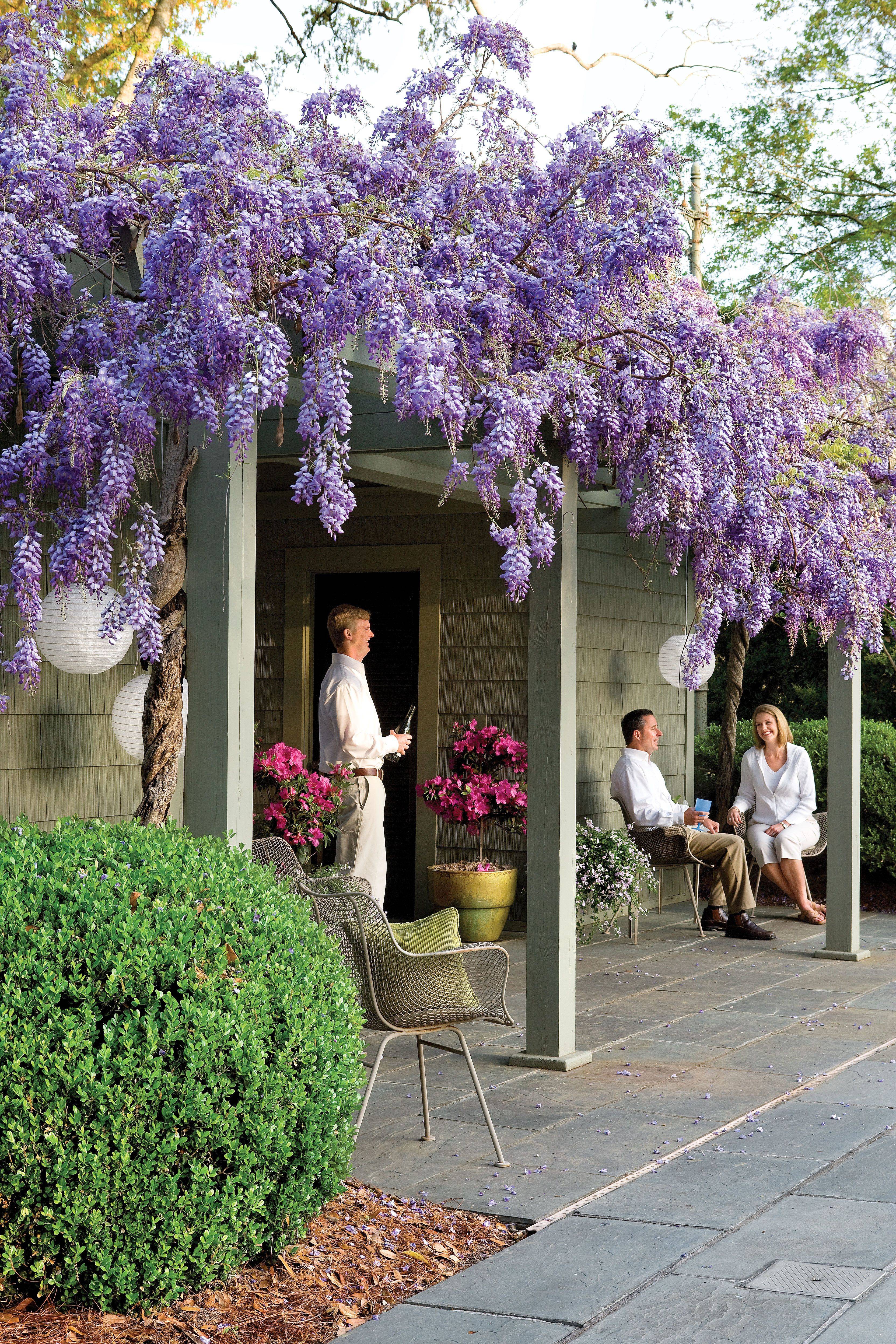 Garden Arch Garden Entrance