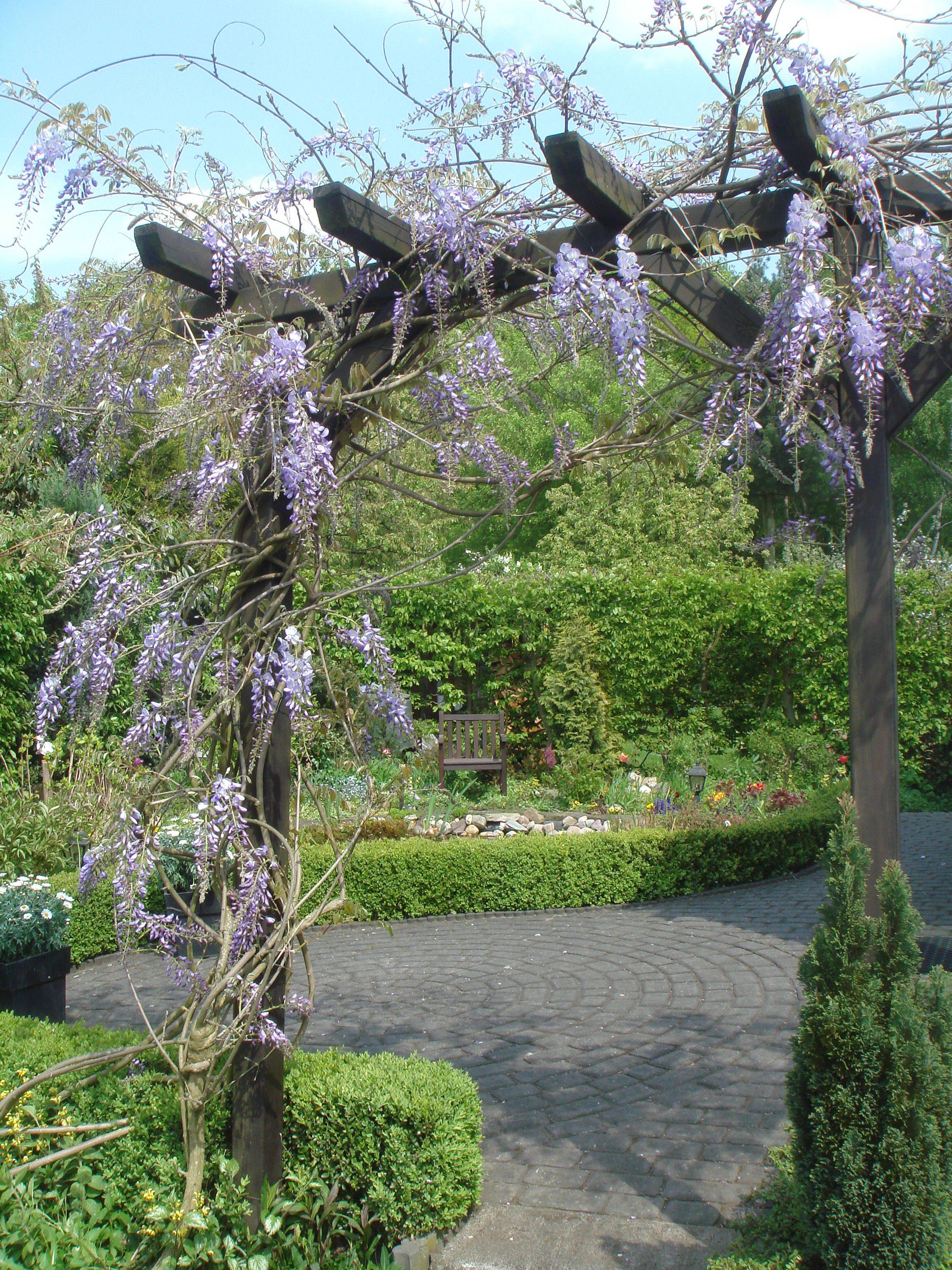 The Japanese Garden