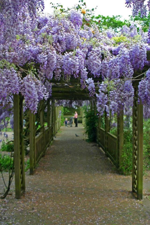 Walkway Beautiful Gardens