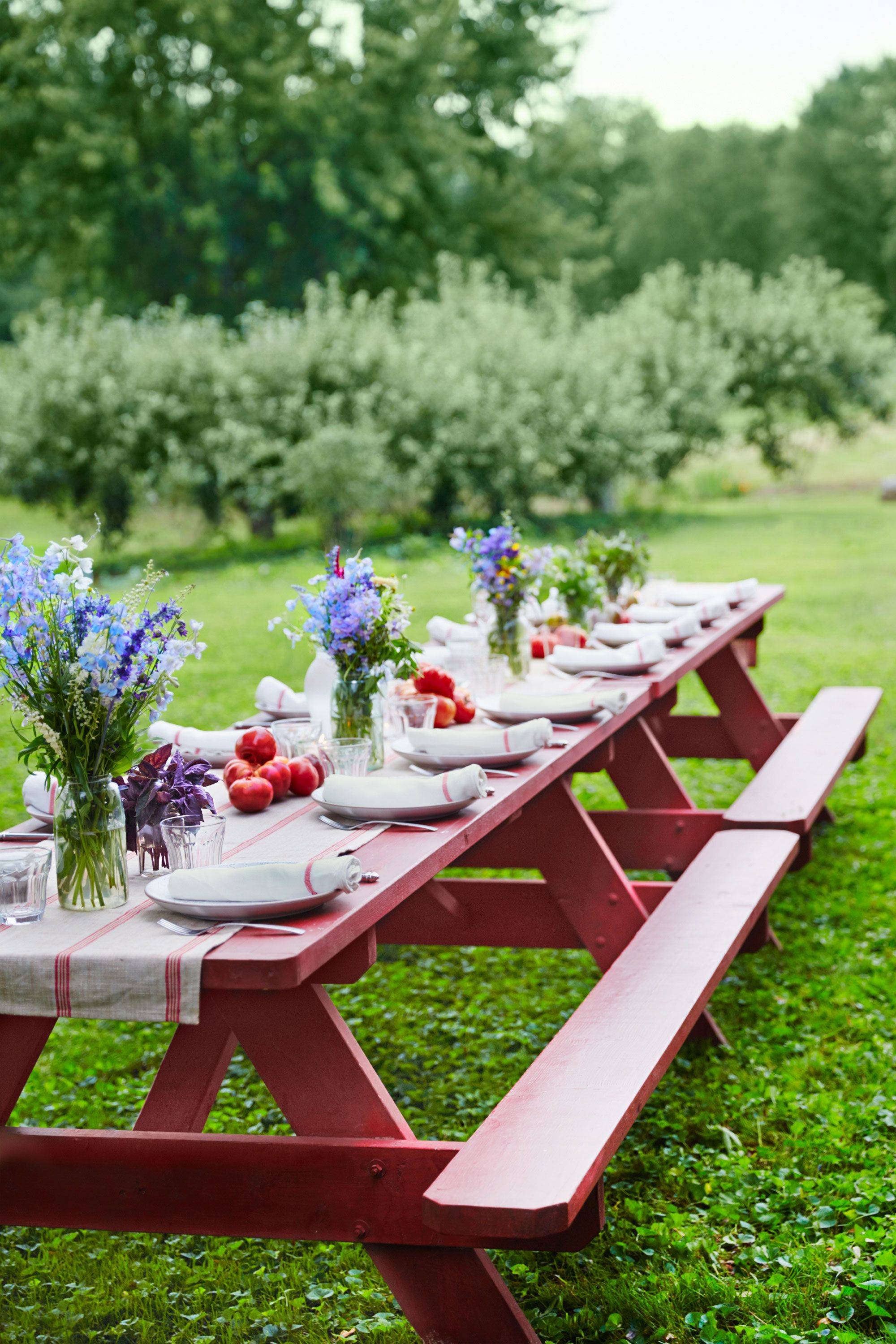 The Best Picnic Table Decorations Ideas