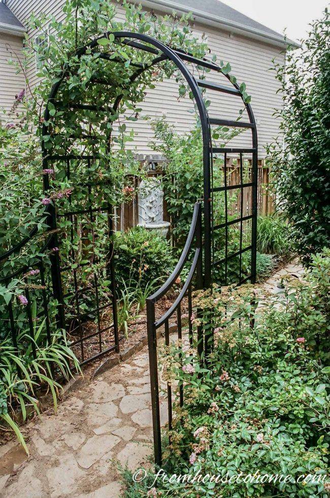 Metal Garden Arch Trellis Ideas