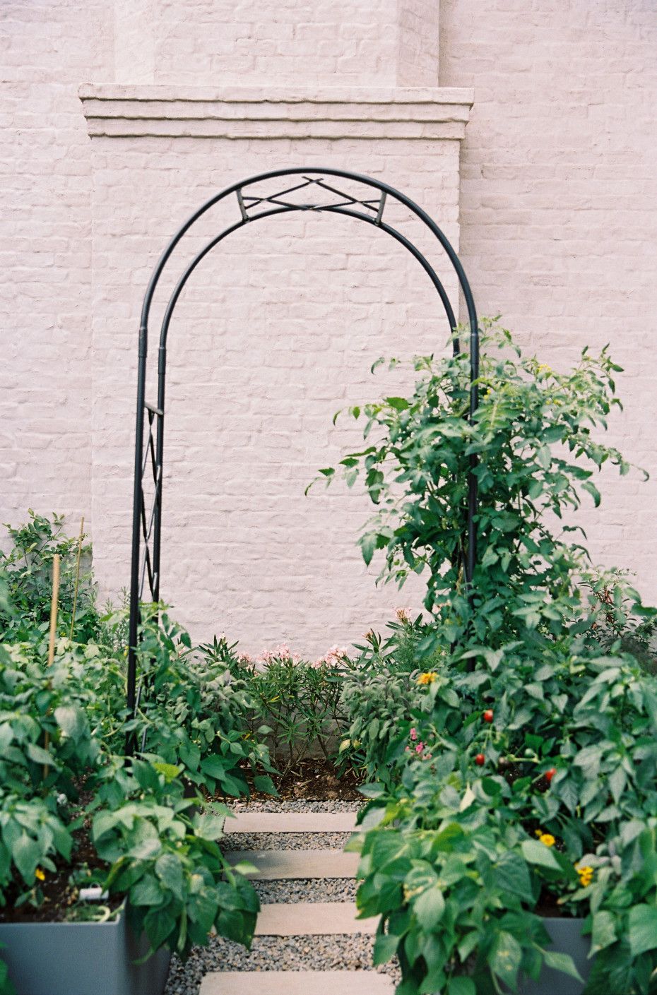 Wayfair Arch Trellis