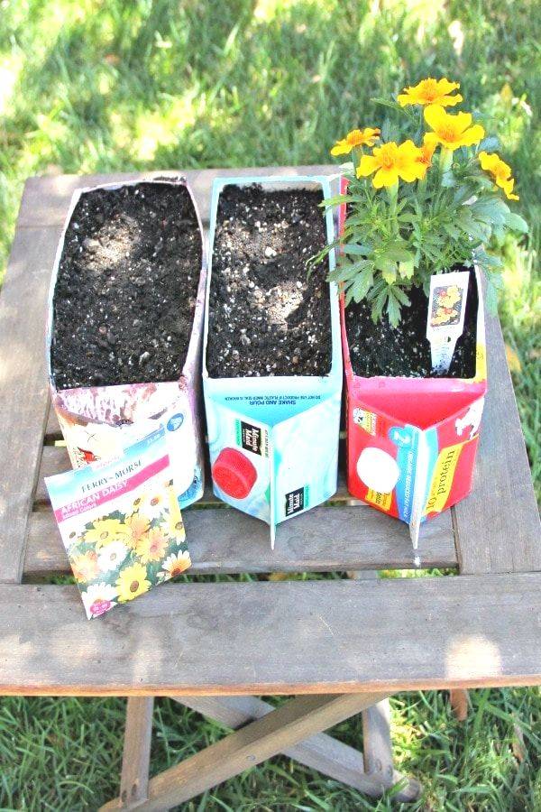 The Flowers Spring Math Game