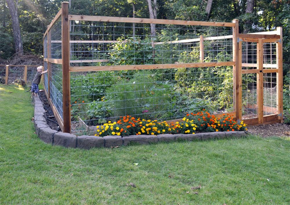 Captivating Rock Garden Ideas