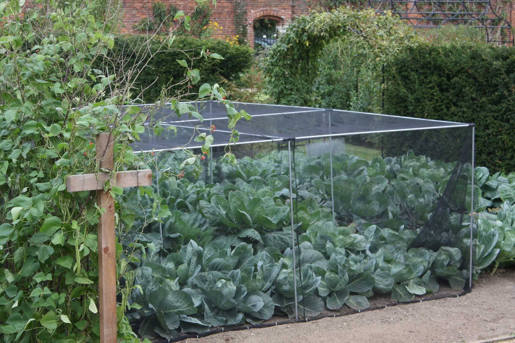 The Best Patio Design Ideas Lovethegarden