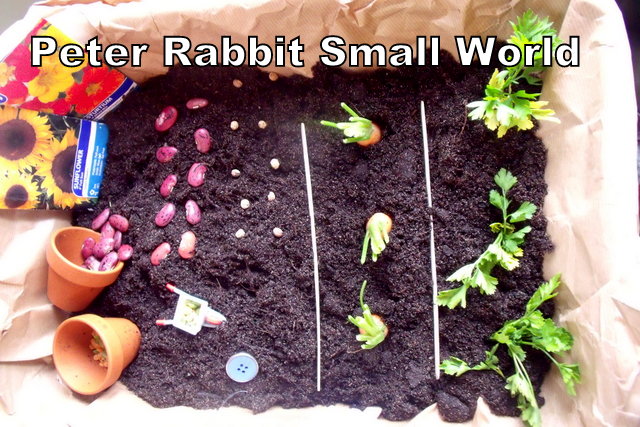 An Project Ideas