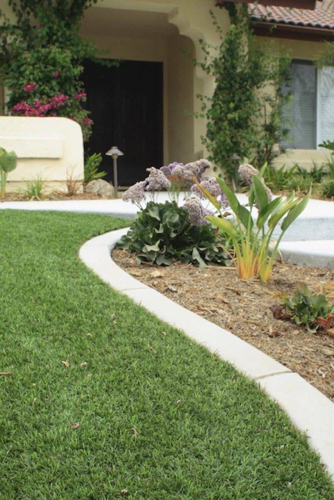 Amazing Backyard Astro Turf Ideas