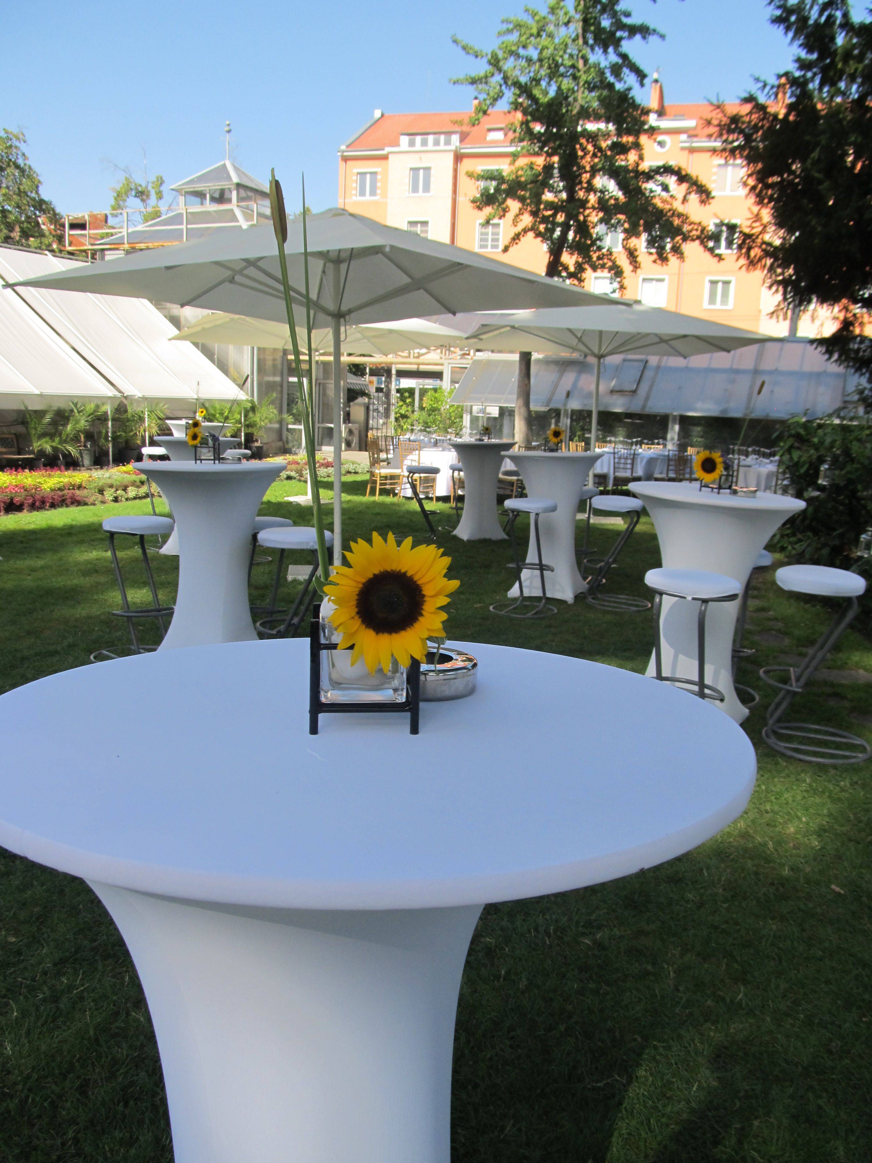 Garden Party Arrangement