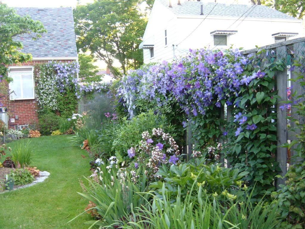 A Pot Container Plants