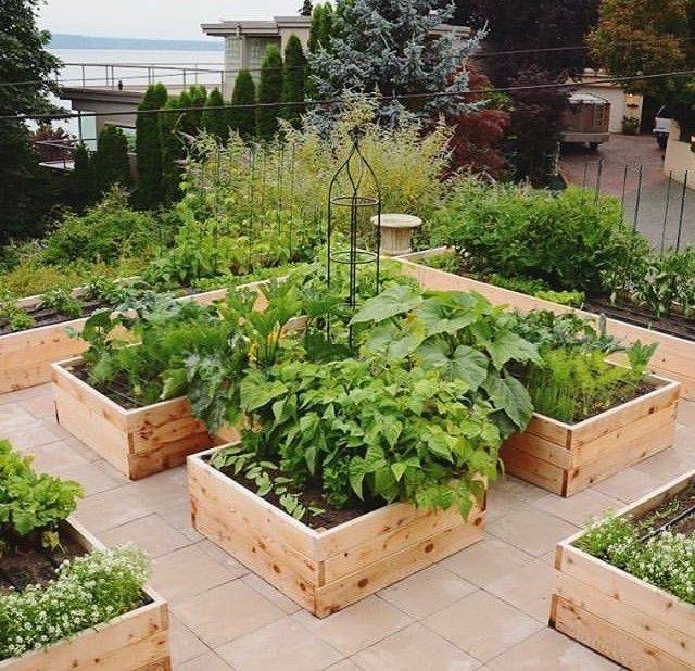 Colorful Family Food Garden