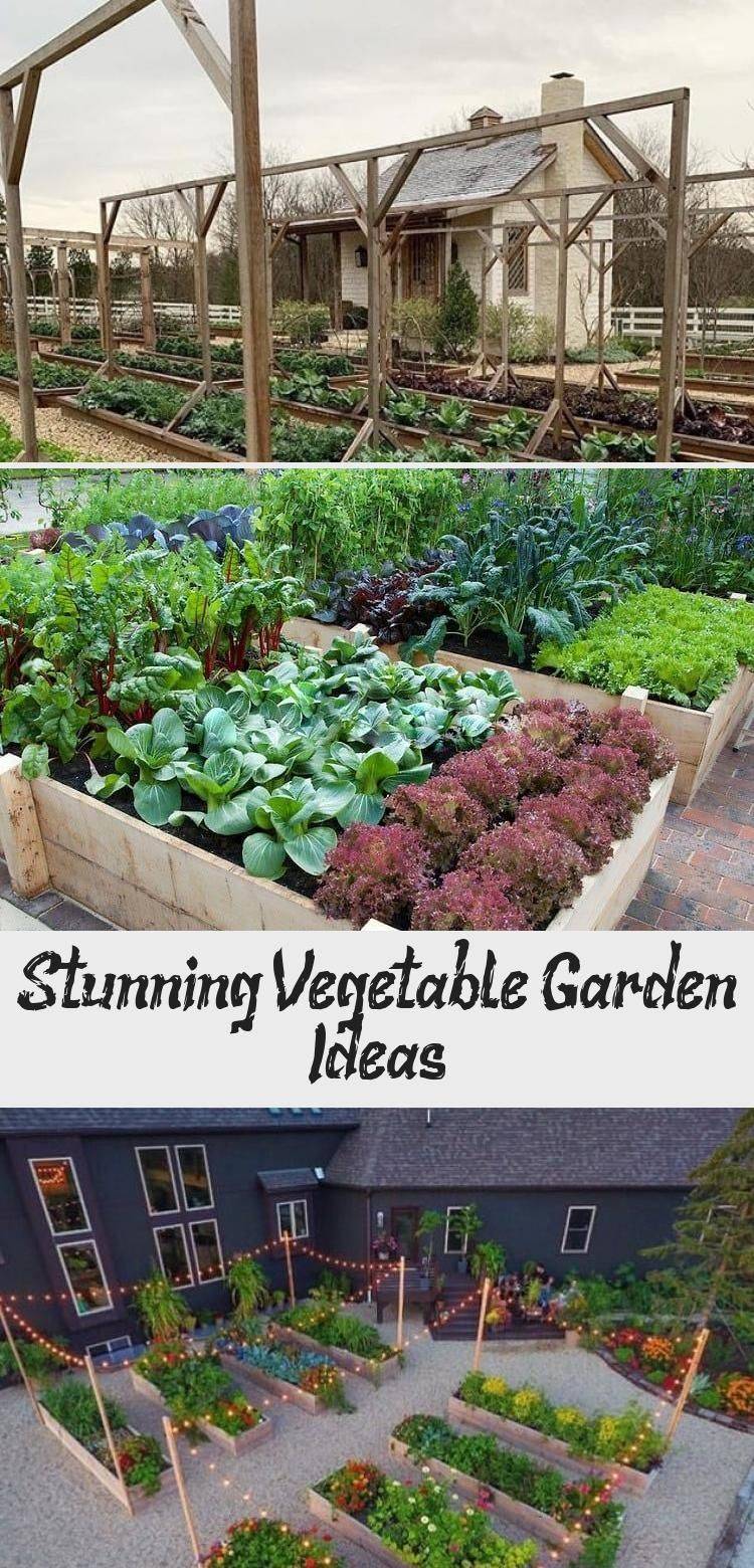 Stunning Vegetable Garden Ideas