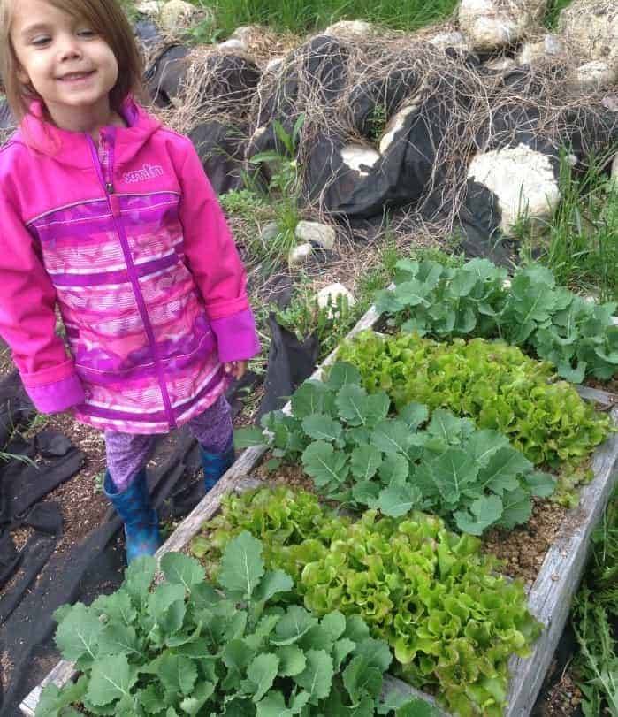 Stunning Vegetable Garden Ideas Family Food Garden Raised Garden