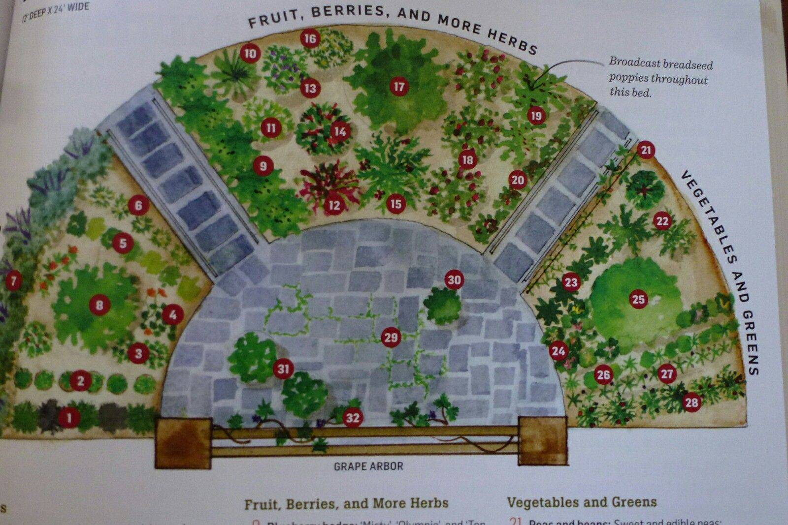 Fantastic Backyard Vegetable Garden Ideas