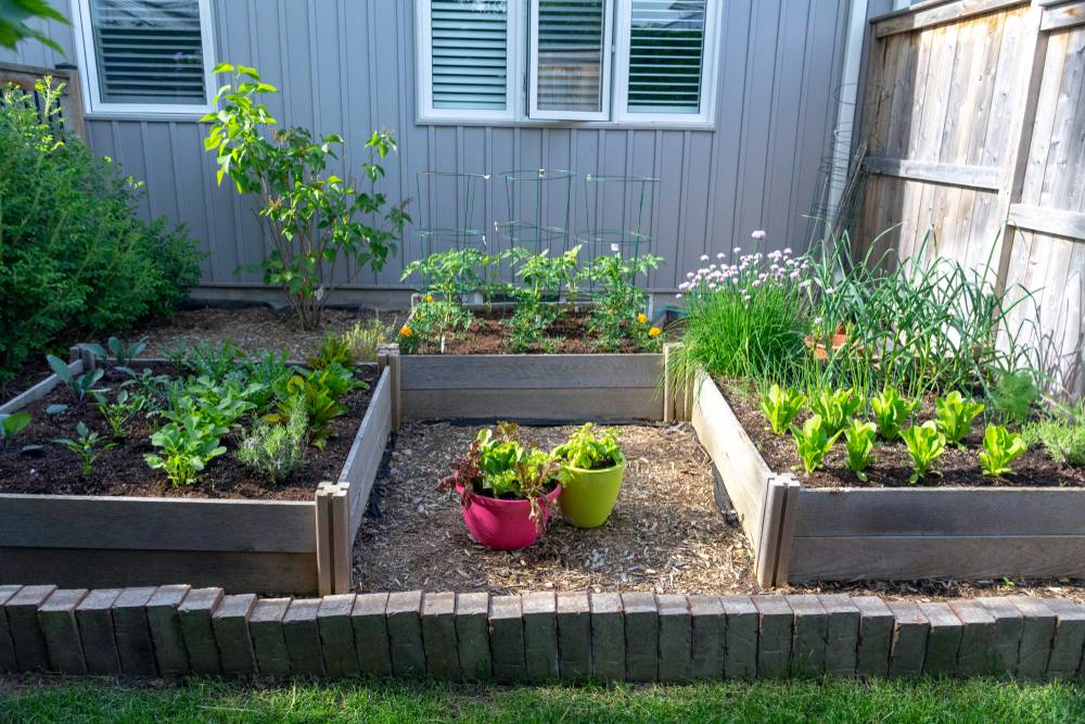Layouts Family Food Garden