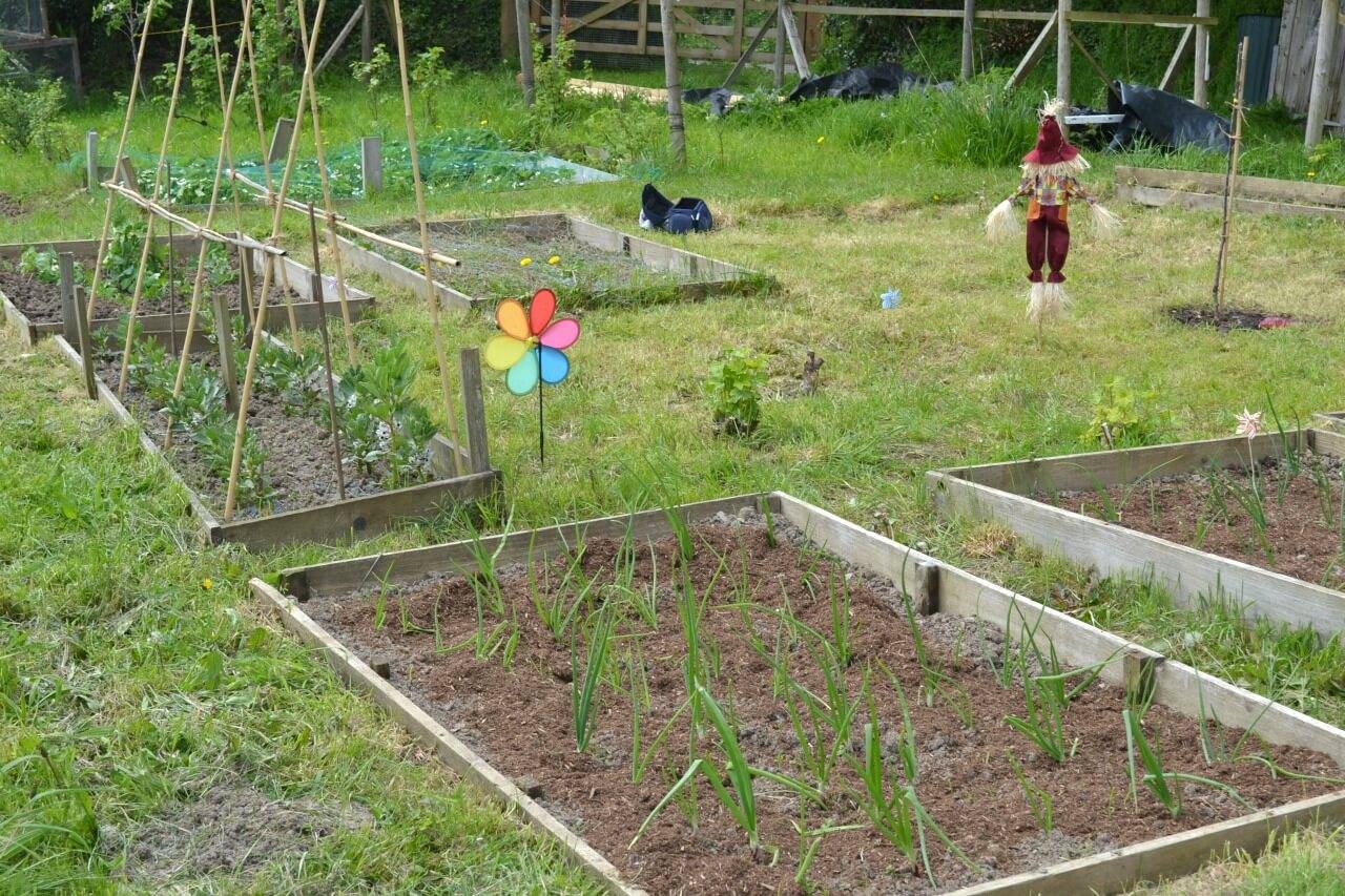 Fantastic Backyard Vegetable Garden Ideas