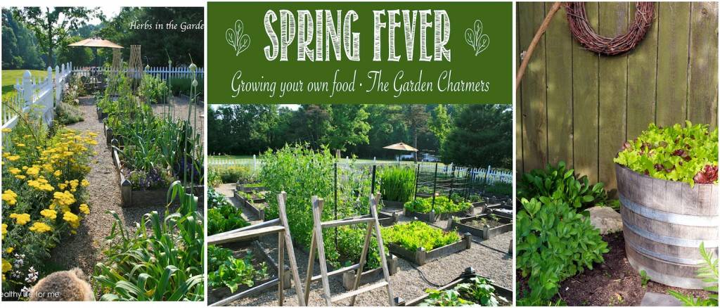 Your Own Organic Garden