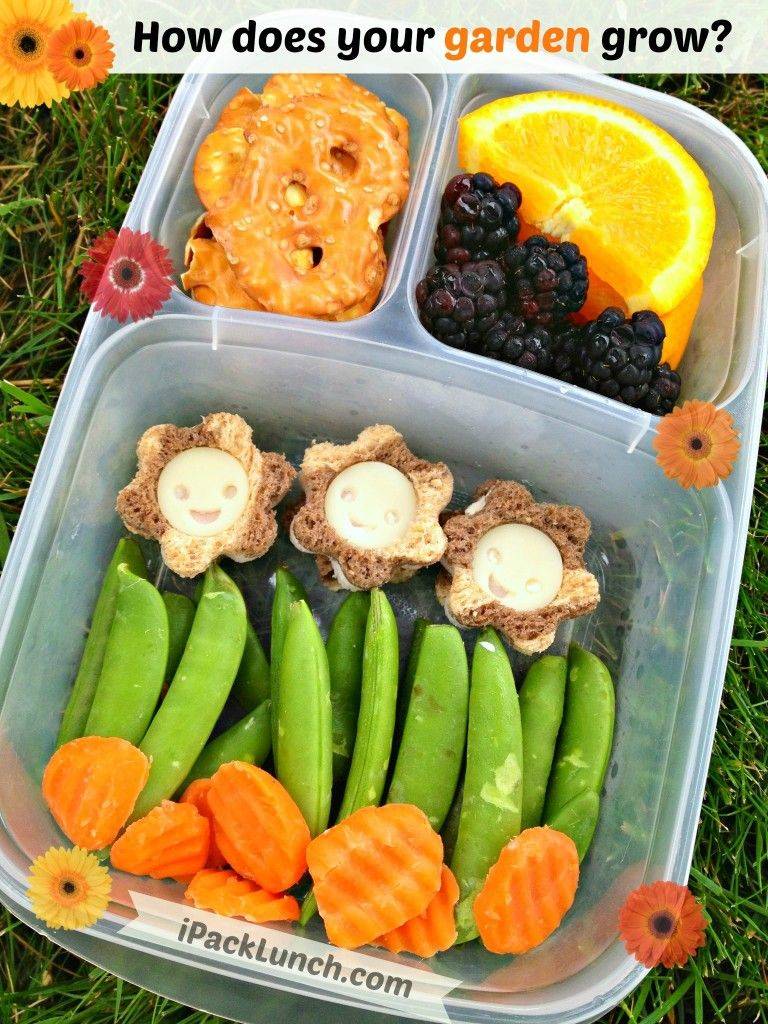 Best Edible Garden Ideas