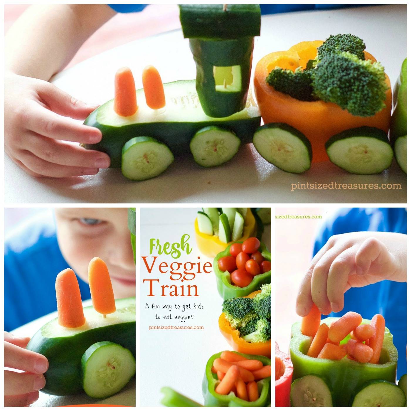 A Healthy Organic Veggie Garden