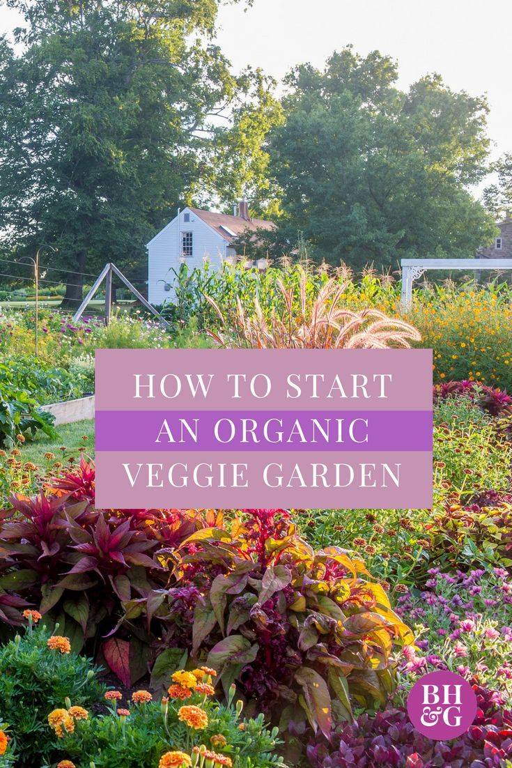 Gorgeous Garden Party Ideas Weddmagzcom Healthy Recipes