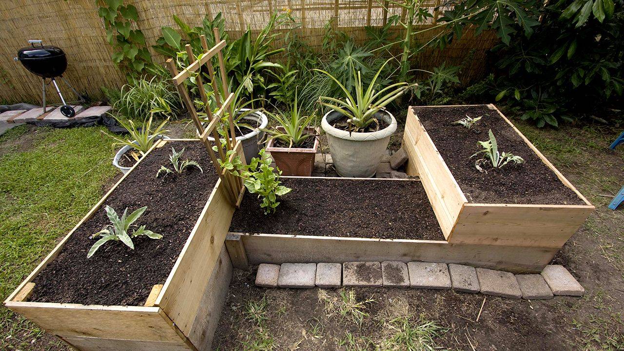 Smart Organic Gardening Ideas