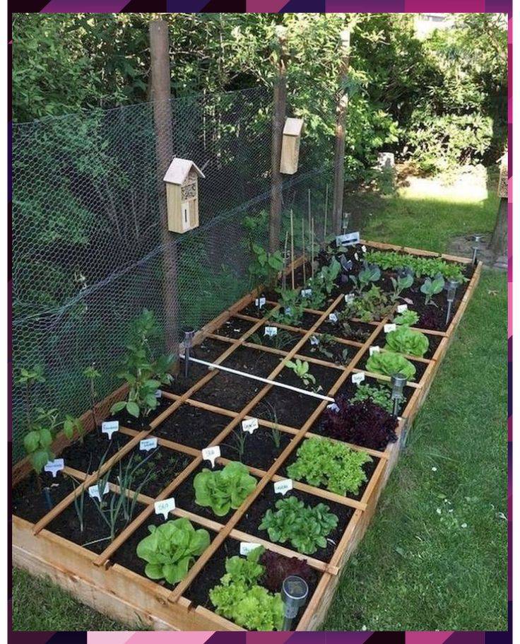 Fantastic Backyard Vegetable Garden Ideas