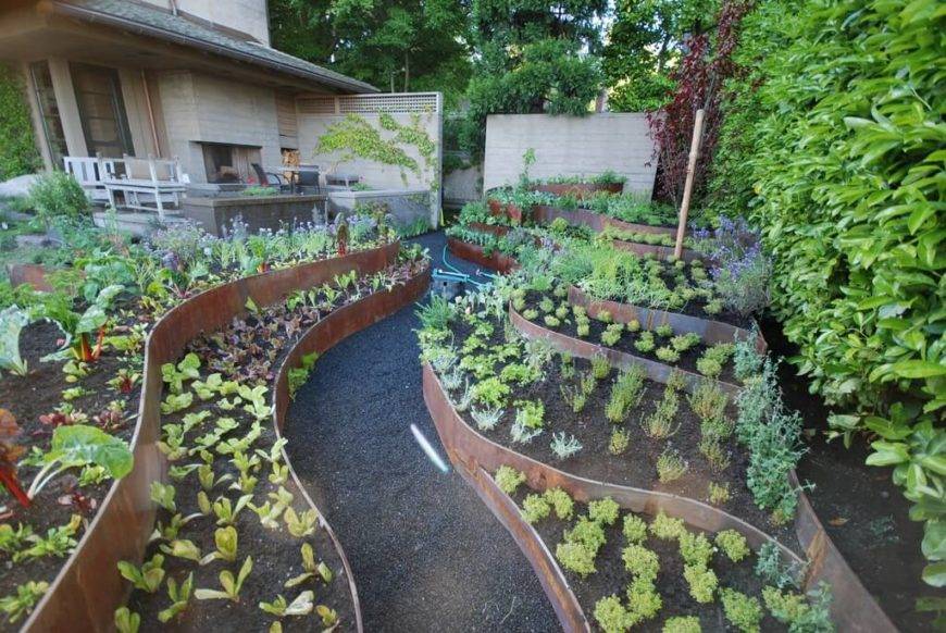 Small Food Gardens
