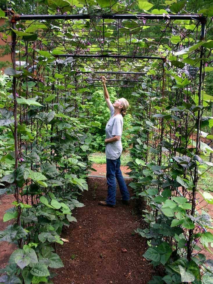 Potager Garden Design Ideas