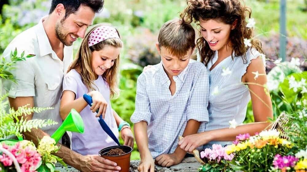 Volunteering Activities