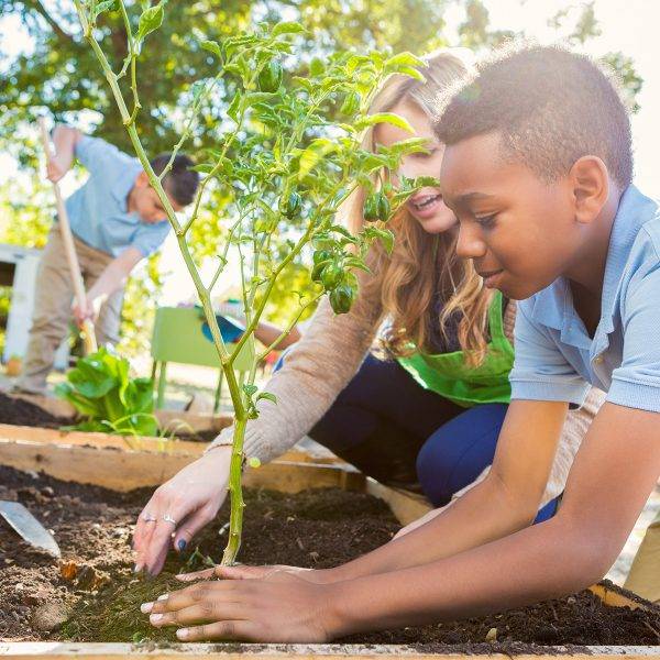The Perfect Family Garden
