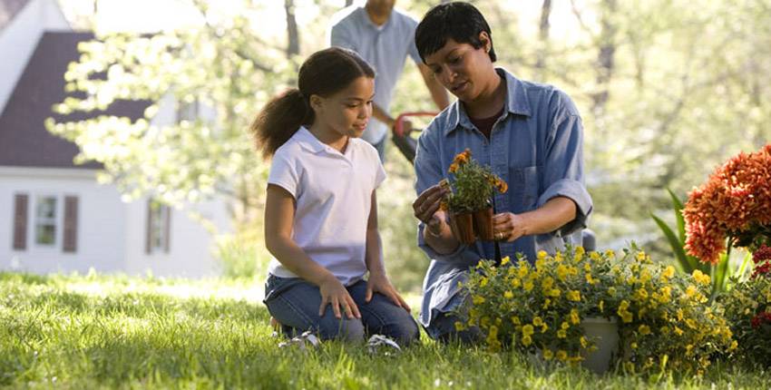 Outdoor Gardening The Perfect Social Distancing Activity