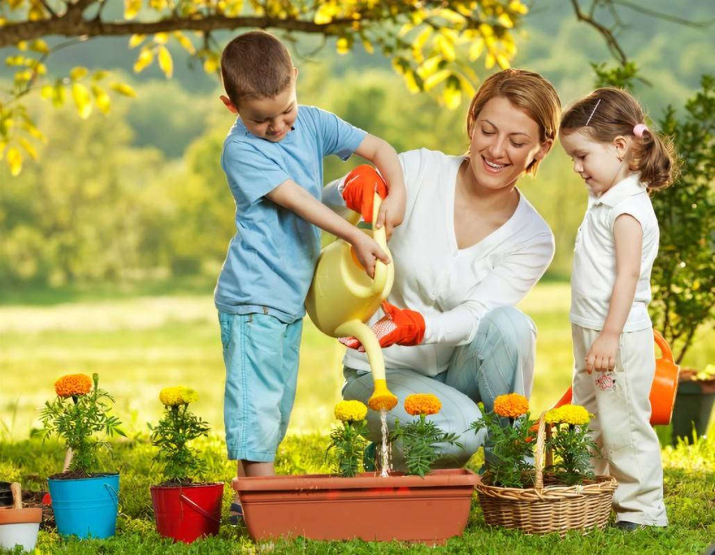 The New Homeschool Parent Ark Republic