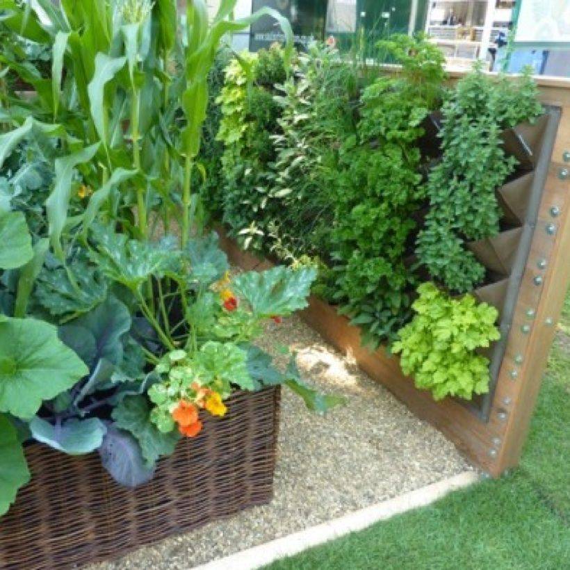 A Vegetable Patch Garden