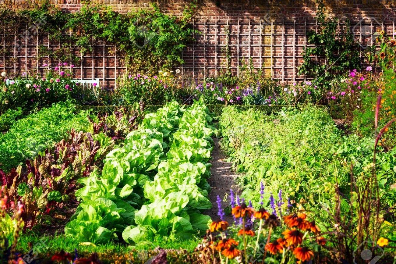 Gardening Tips
