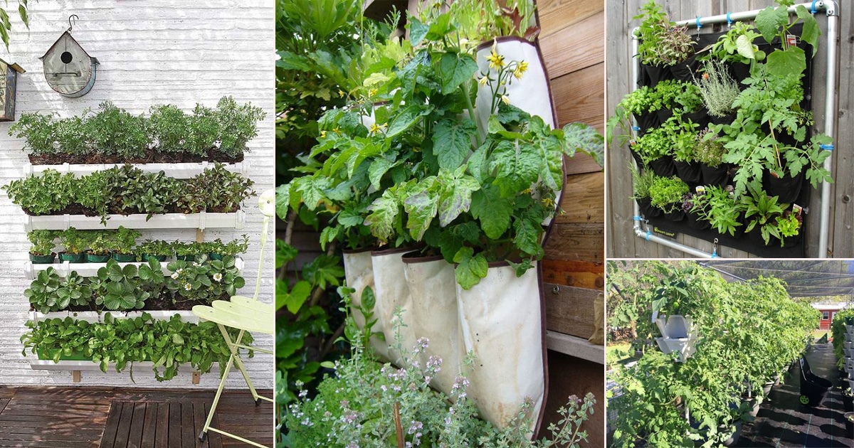 Vertical Gardening Ideas