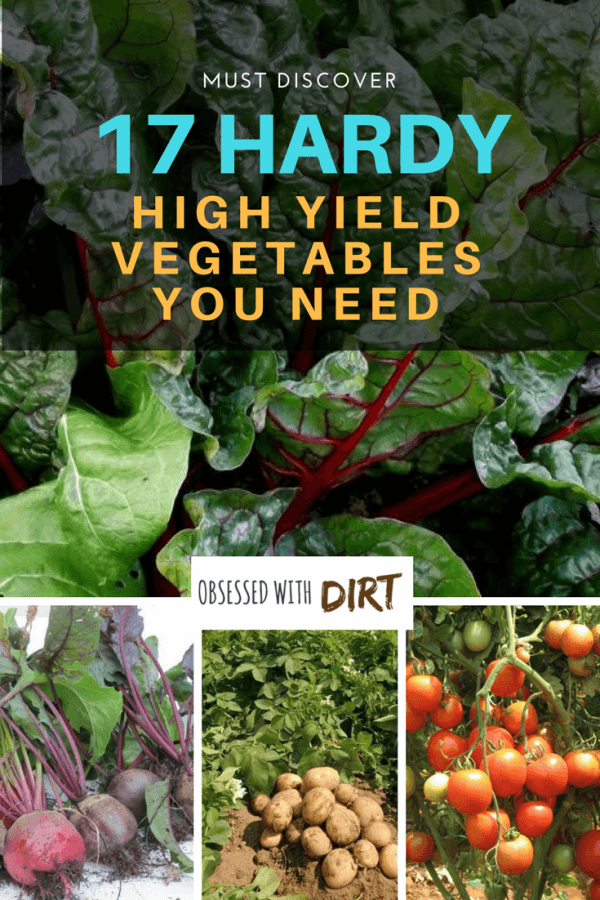 A Highyield Vegetable Garden