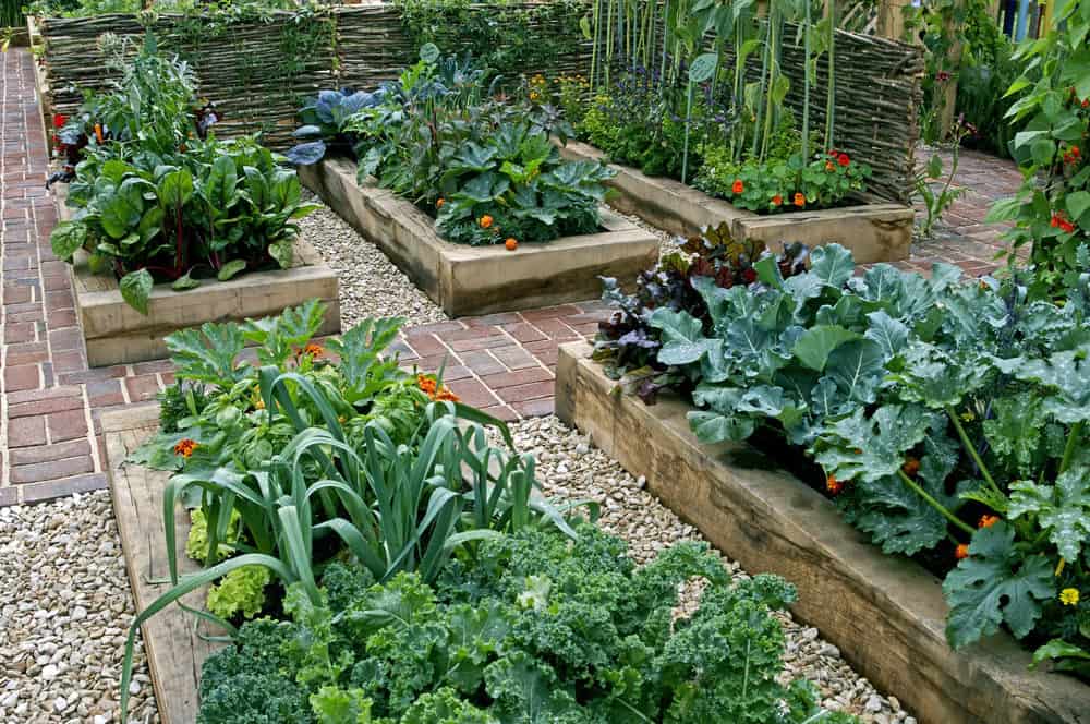 A Highyield Vegetable Garden