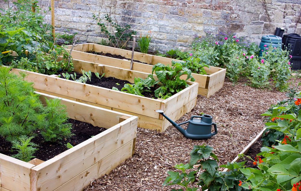 Planting Vegetable Gardens