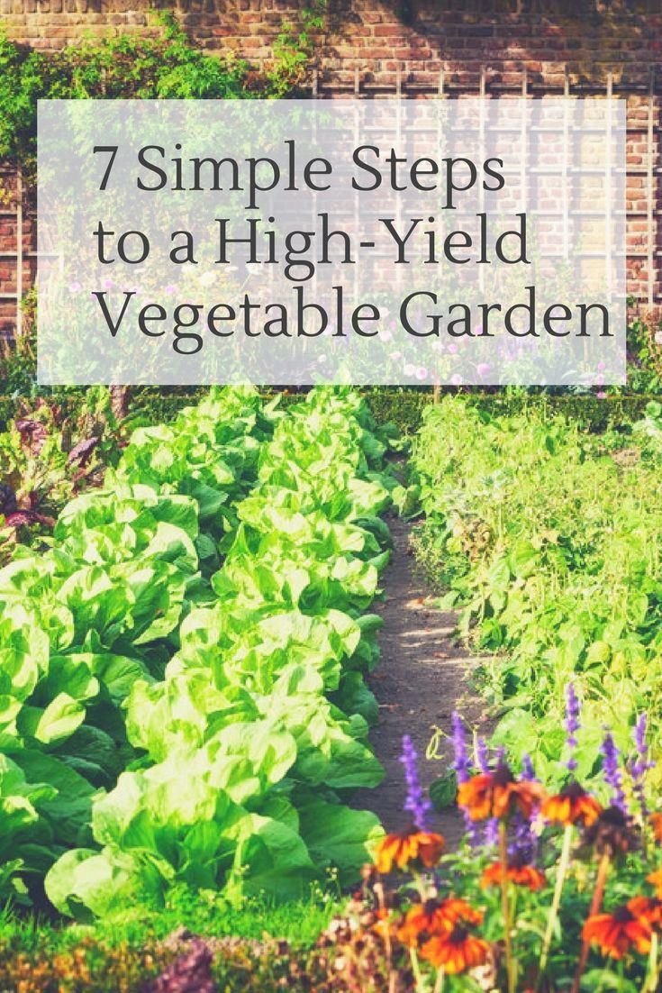 Your Vegetable Garden Yield