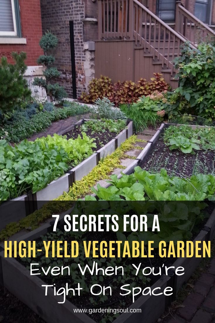 A Highyield Vegetable Garden