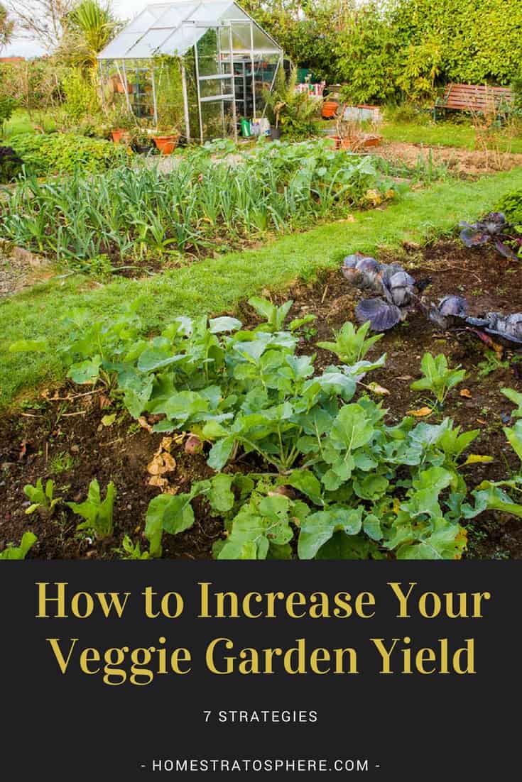 A High Yield Vegetable Garden