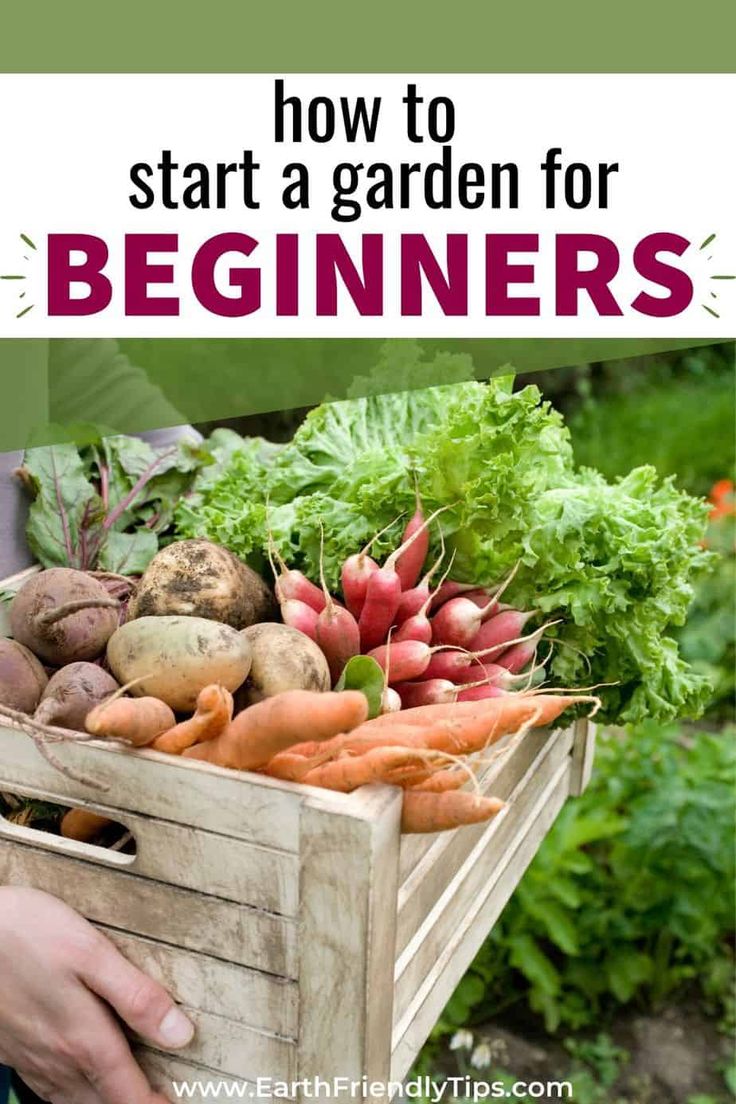 Incredibly Easy Tips