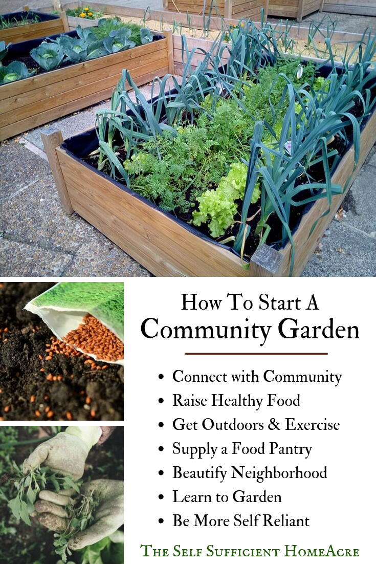 A Garden